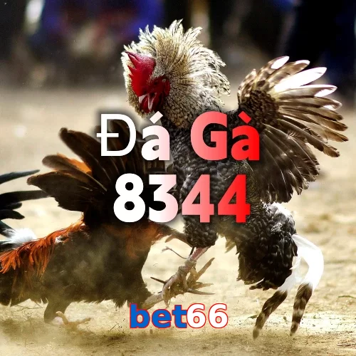 bet66
